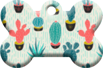 Cactus_13